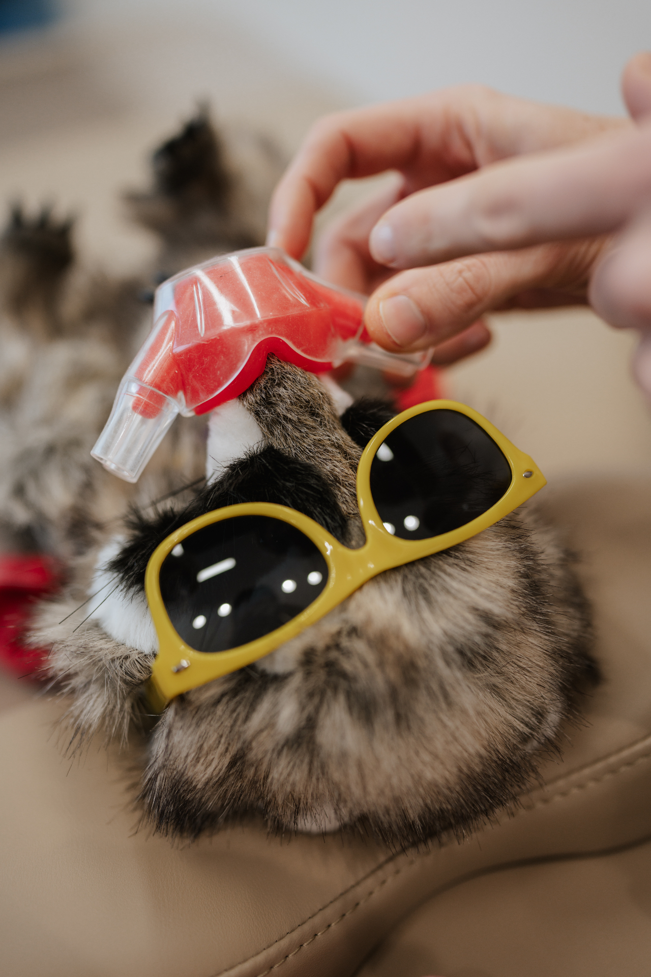 Timmy mit Narkosemaske zeigt wie einfach es ist